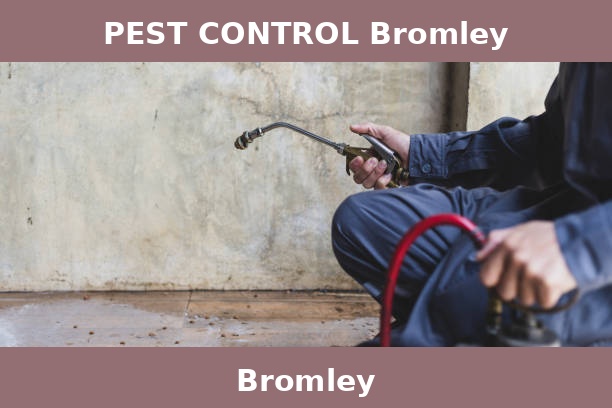 PEST CONTROL Bromley